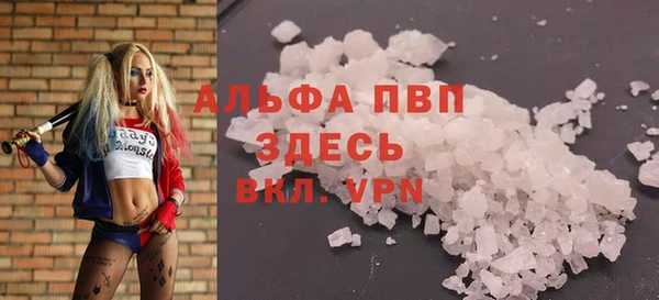 индика Гусиноозёрск