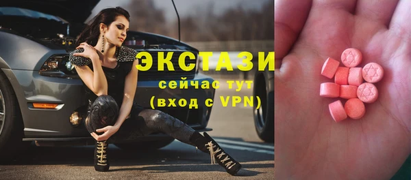 индика Гусиноозёрск