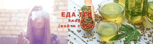 индика Гусиноозёрск