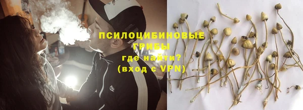 соль курить ск Гусь-Хрустальный
