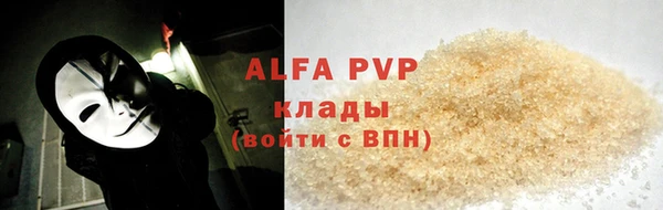 индика Гусиноозёрск