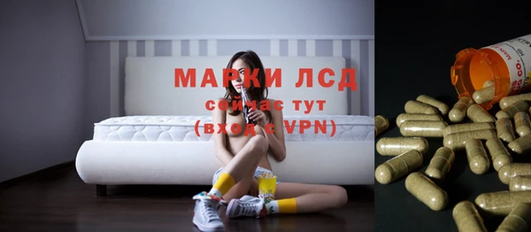 индика Гусиноозёрск