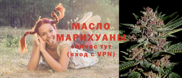 индика Гусиноозёрск