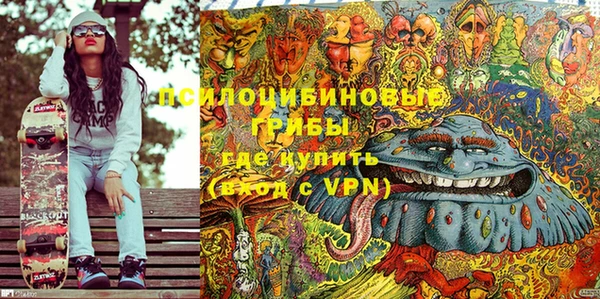 индика Гусиноозёрск