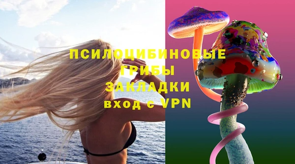 мескалин Гусев