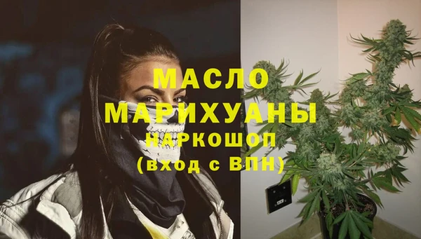 индика Гусиноозёрск