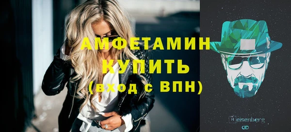 индика Гусиноозёрск